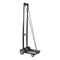 Carro De Carga Plegable 65 Kg