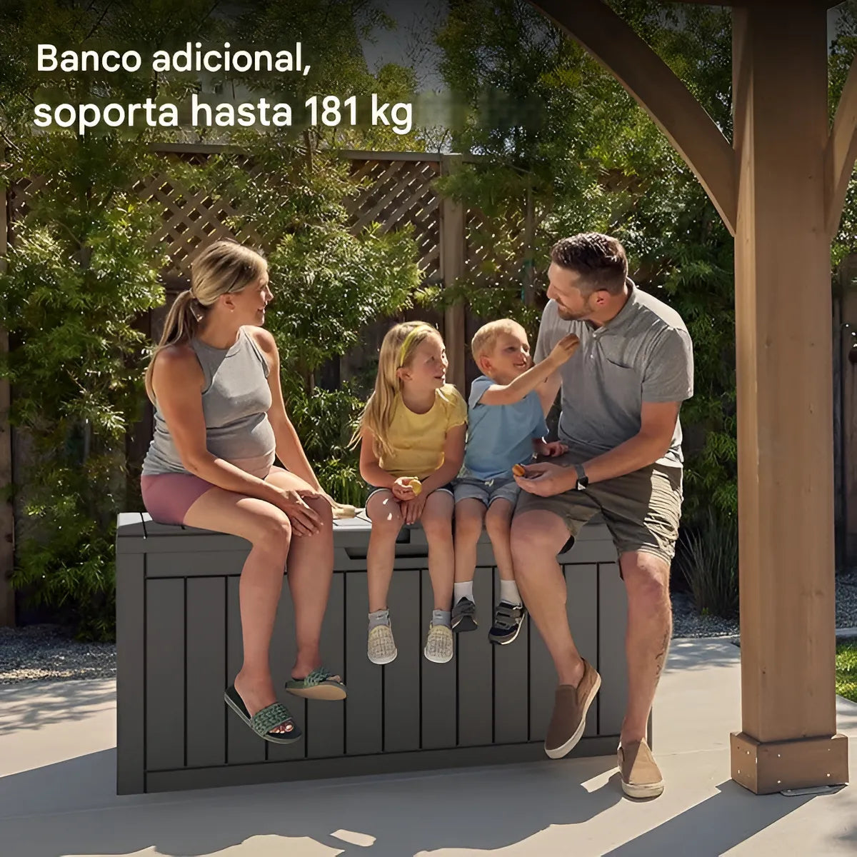 Caja Baul Organizador 270 Lts